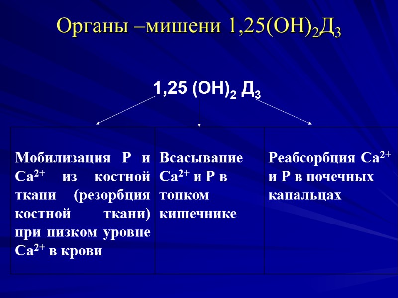 Органы –мишени 1,25(ОН)2Д3 1,25 (ОН)2 Д3 Органы –мишени 1,25(ОН)2Д3 1,25 (ОН)2 Д3
